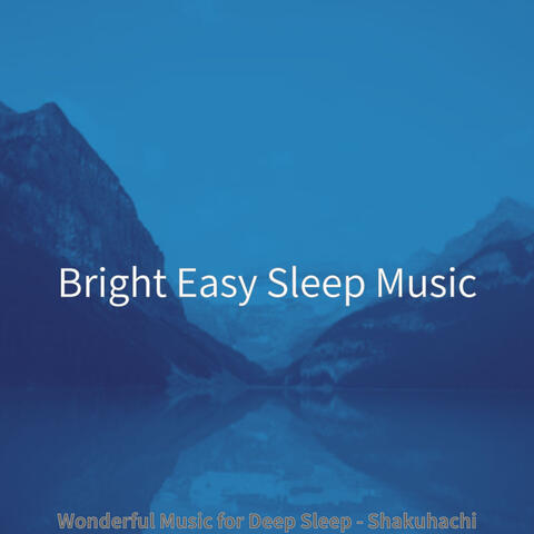 Wonderful Music for Deep Sleep - Shakuhachi
