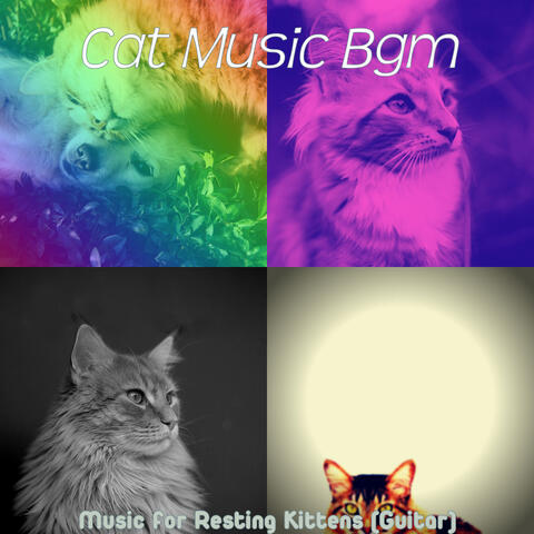 Music for Resting Kittens (Guitar)