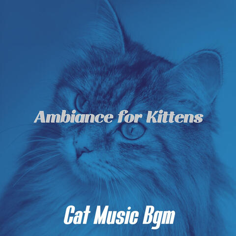 Ambiance for Kittens