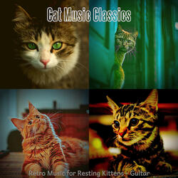 Classic Backdrops for Cats