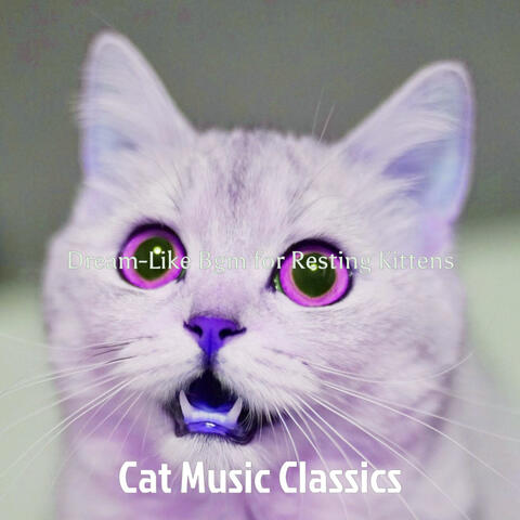 Dream-Like Bgm for Resting Kittens