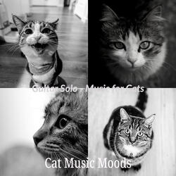 Serene Jazz Guitar Trio - Vibe for Resting Kittens