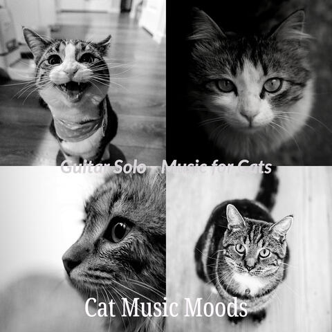 Guitar Solo - Music for Cats