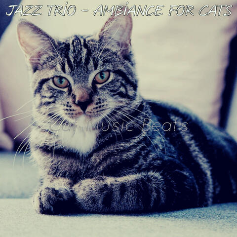 Jazz Trio - Ambiance for Cats