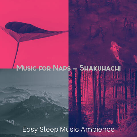 Music for Naps - Shakuhachi