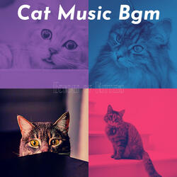 Background for Training Your Cat