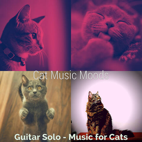 Guitar Solo - Music for Cats