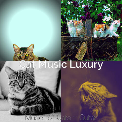Music for Cats - Guitar
