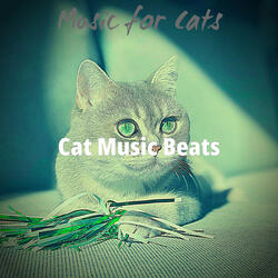 Quiet Moods for Cats