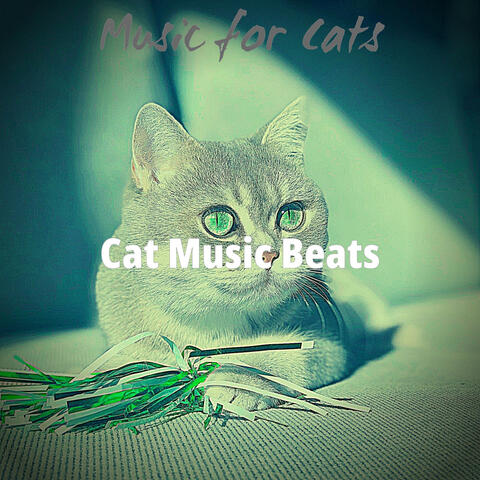 Music for Cats