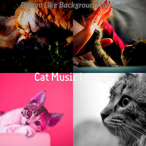 Dream Like Background for Cats