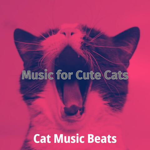 Music for Cute Cats