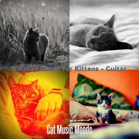 Relaxed Music for Kittens - Guitar