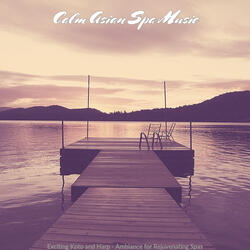 Outstanding Music for Spa Hours