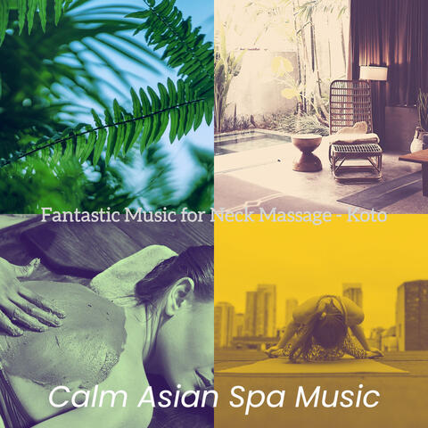 Fantastic Music for Neck Massage - Koto