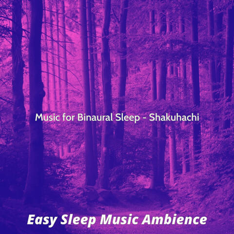 Music for Binaural Sleep - Shakuhachi