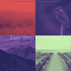 Background for Sleeping Well