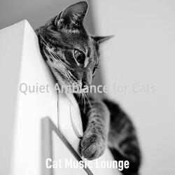 Trio Jazz Soundtrack for Kittens