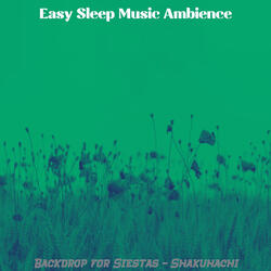 Alluring Backdrops for Sleeping Well