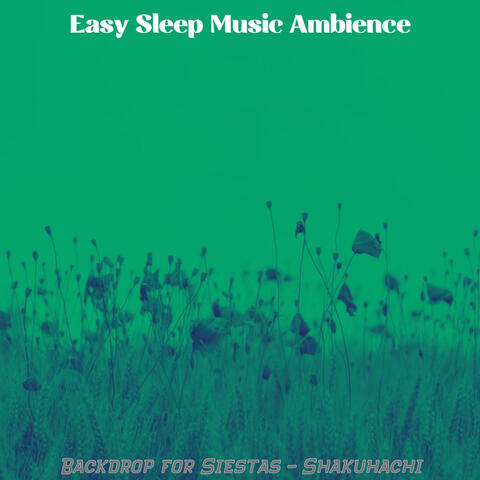 Backdrop for Siestas - Shakuhachi