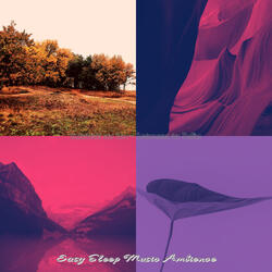 Urbane Shakuhachi and Harps - Vibe for Binaural Sleep