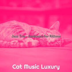 Refined Jazz Guitar Trio - Vibe for Training Your Cat