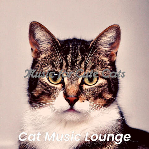 Music for Cute Cats