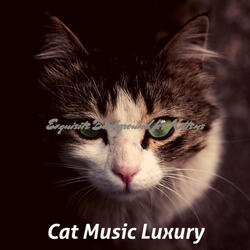 Trio Jazz Soundtrack for Cats