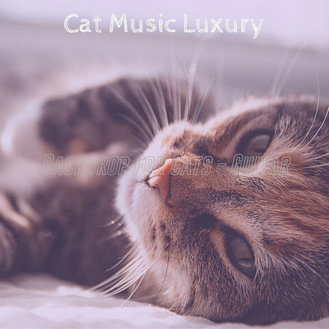 Backdrop for Cats - Guitar