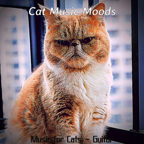 Music for Cats - Guitar