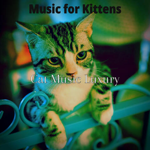 Music for Kittens
