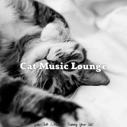 Dream Like Cats