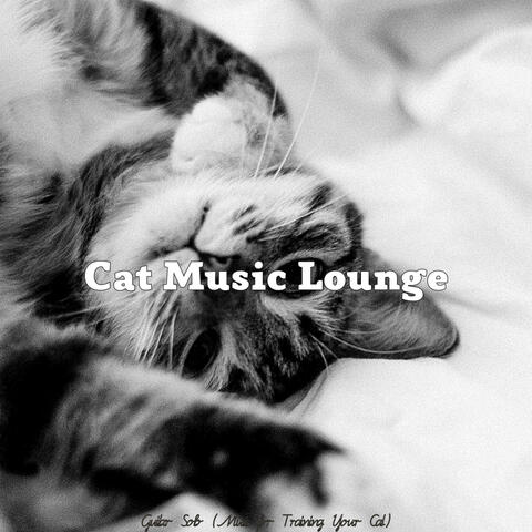 Guitar Solo (Music for Training Your Cat)