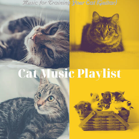 Music for Training Your Cat (Guitar)