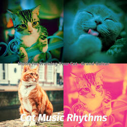 Trio Jazz Soundtrack for Training Your Cat