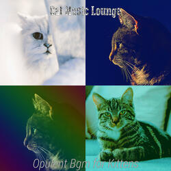 Lovely Jazz Guitar Trio - Vibe for Resting Kittens