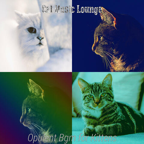 Opulent Bgm for Kittens