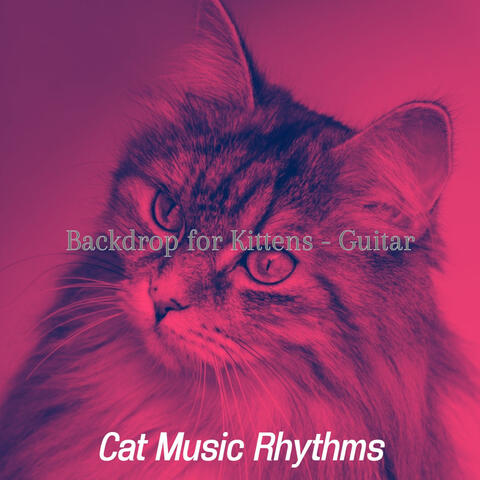Backdrop for Kittens - Guitar