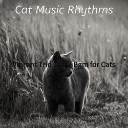 Cheerful Ambience for Resting Kittens
