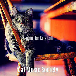 Mind-blowing Music for Kittens