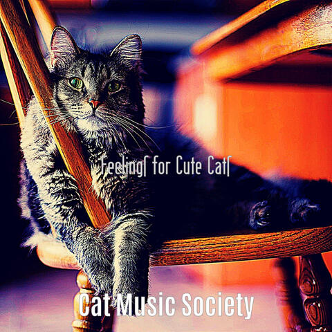 Feelings for Cute Cats