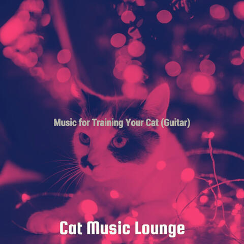 Music for Training Your Cat (Guitar)