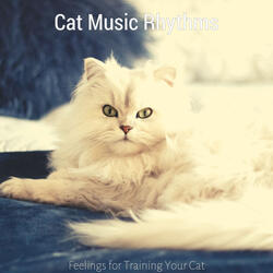 Hypnotic Moods for Cute Cats