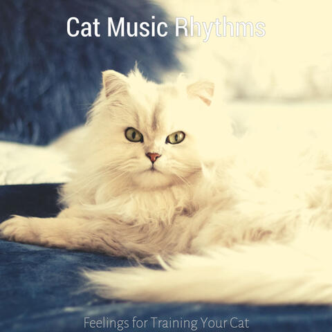 Feelings for Training Your Cat