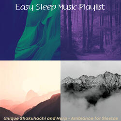 Shakuhachi and Koto Soundtrack for Naps