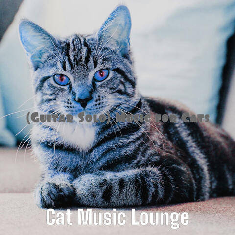 (Guitar Solo) Music for Cats