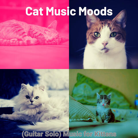 (Guitar Solo) Music for Kittens