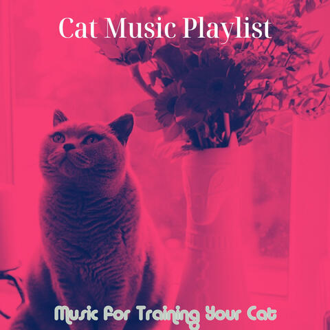 Music for Training Your Cat