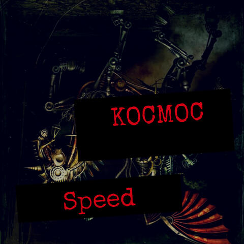 Speed