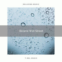 Wet Road Sounds